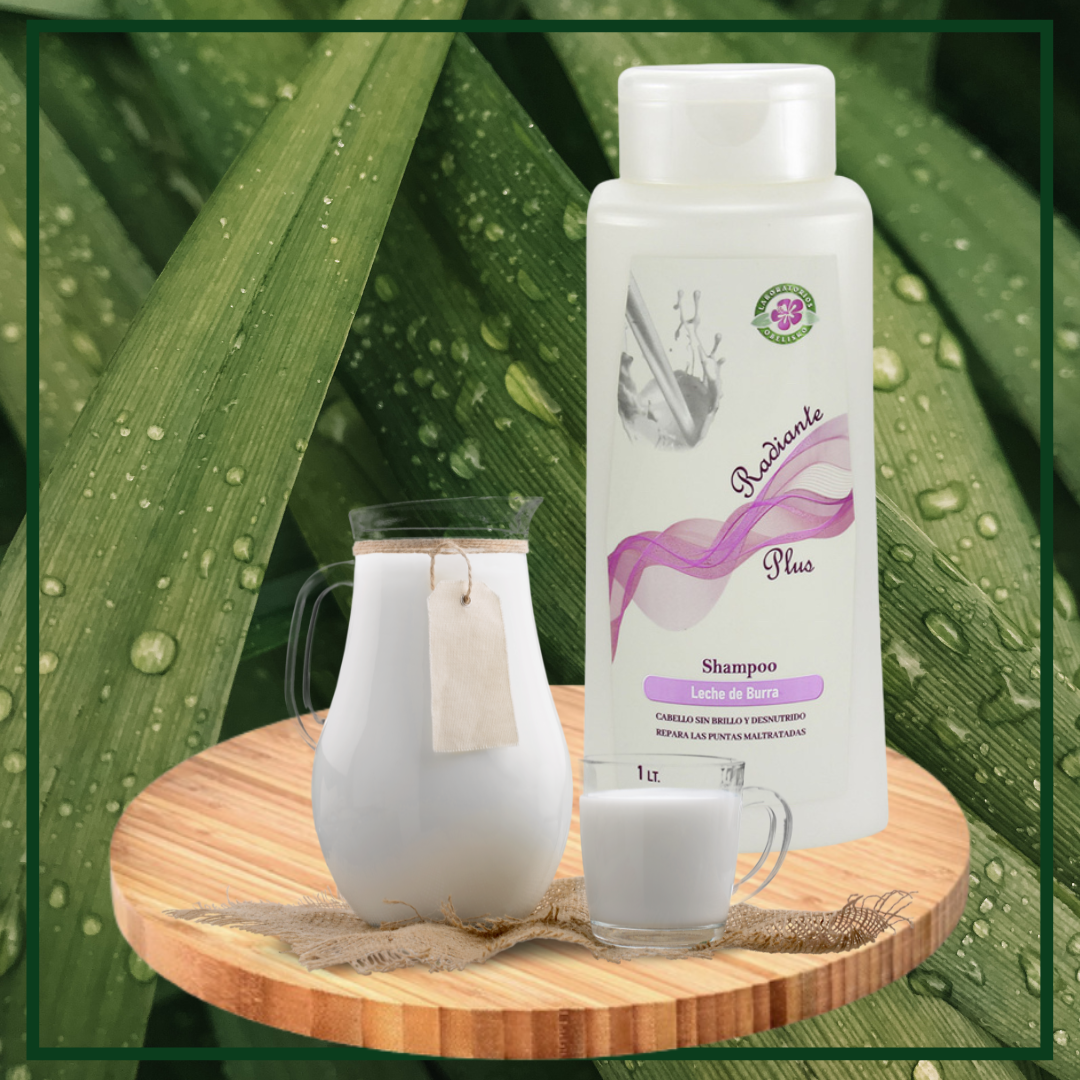 Shampoo- Leche de burra