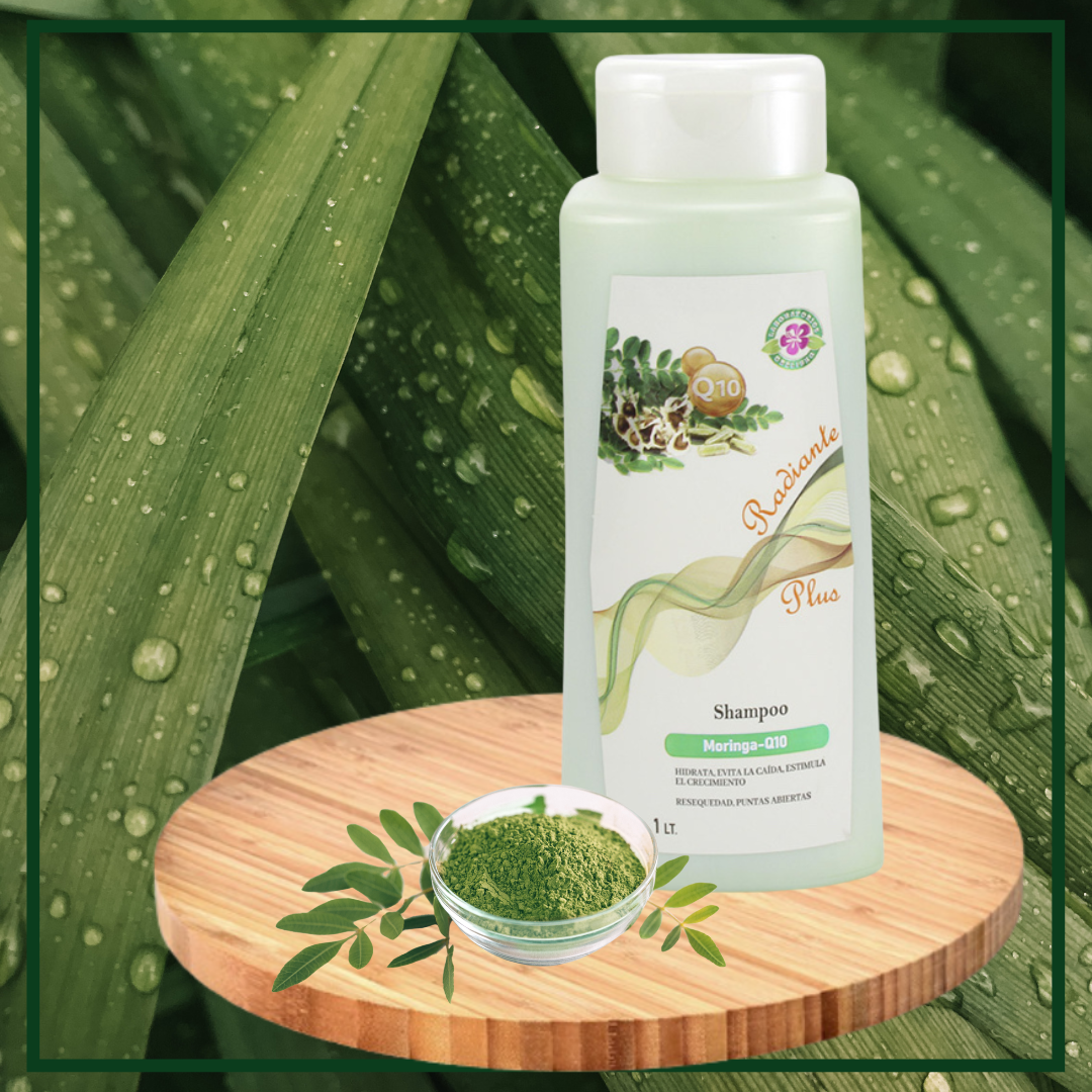 Shampoo -Moringa-Q10
